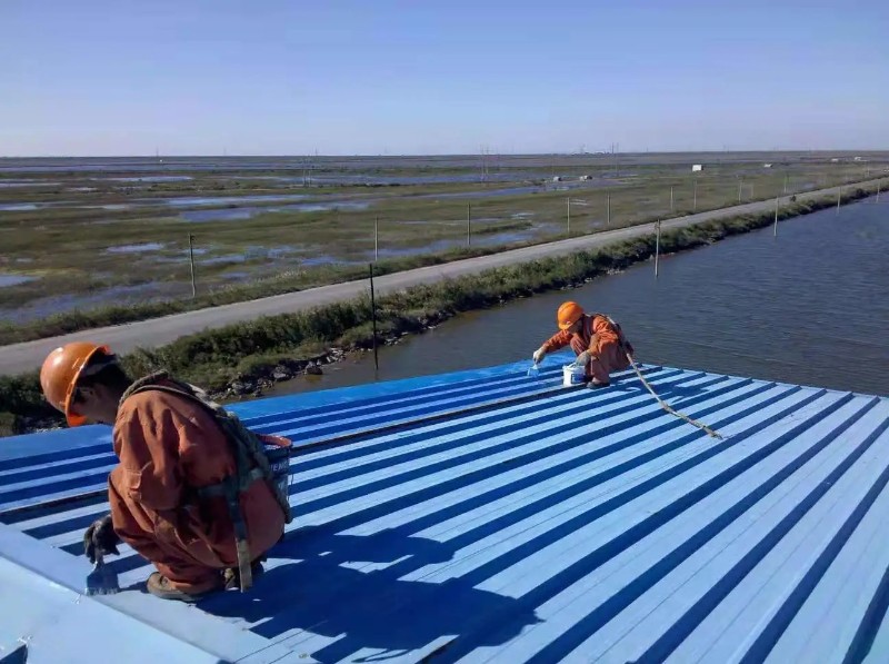 浉河彩钢瓦屋面防腐翻新